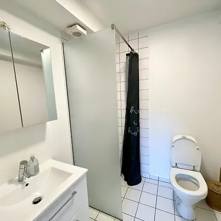 Apartment 5 Min Walk To Lego House-studio 18